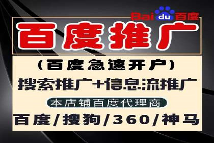 SEM竞价代运营公司成功案例解析